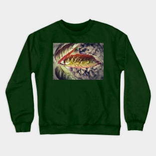 leaf dew Crewneck Sweatshirt